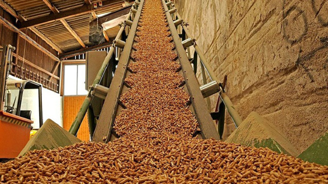 Binh Dinh a un nouveau projet de production de granulés de bois de plus de 341 milliards de dôngs. Photo : thuonghieucongluan.com.vn