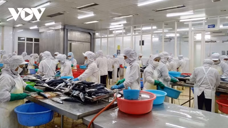 Photo d'illustration: VOV