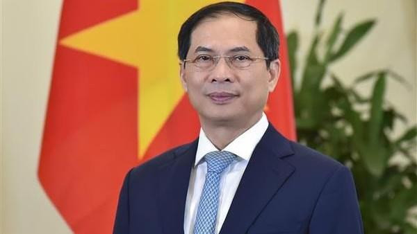 Le ministre des Affaires étrangères Bui Thanh Son. Photo : VNA