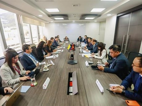Panorama de la première réunion du Comité économique conjoint Vietnam-Colombie. Photo: VNA