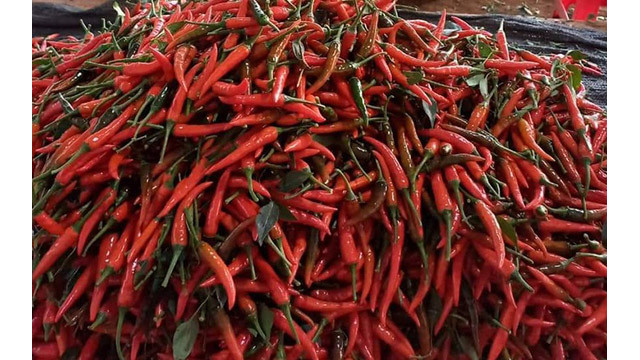 Les exportations du piment ont atteint 8 296 tonnes de piment en 8 mois. Photo : congthuong.vn