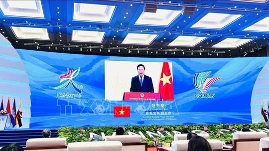 Le vice-premier ministre vietnamien, Pham Binh Minh, prend la parole. Photo: VNA