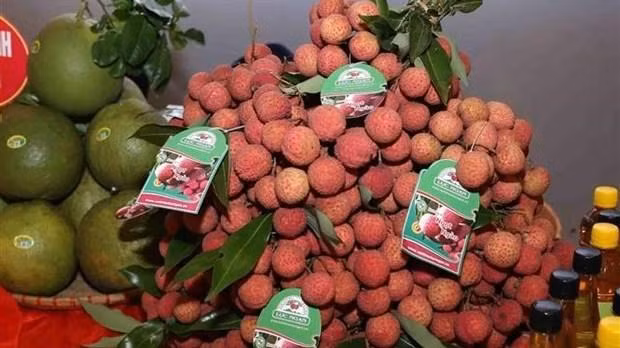 Du litchi « thiêu » du Vietnam. Photo: VNA