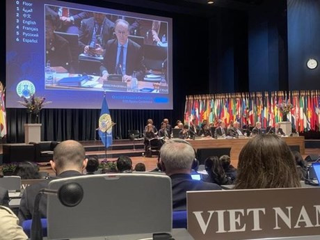 La cinquième conférence d'examen de la Convention sur les Armes chimiques (CAC) du 15 au 19 mai à La Haye. Photo : VNA.