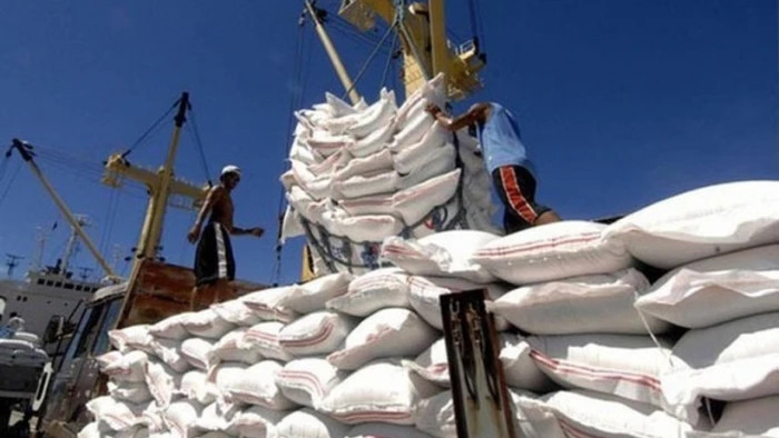  En 2024, les exportations de riz du Vietnam vers les Philippines ont atteint 2,6 milliards de dollars. Photo : plo.vn 