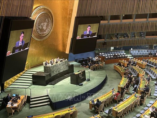 L'ambassadeur Dang Hoàng Giang, chef de la Mission permanente du Vietnam auprès de l'ONU, prend la parole lors d'une session de l'ONU. Photo : VNA.
