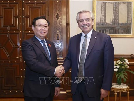 Le Président de l'Assemblée nationale du Vietnam, Vuong Dinh Huê (à gauche), et le Président argentin, Alberto Fernández. Photo : VNA.