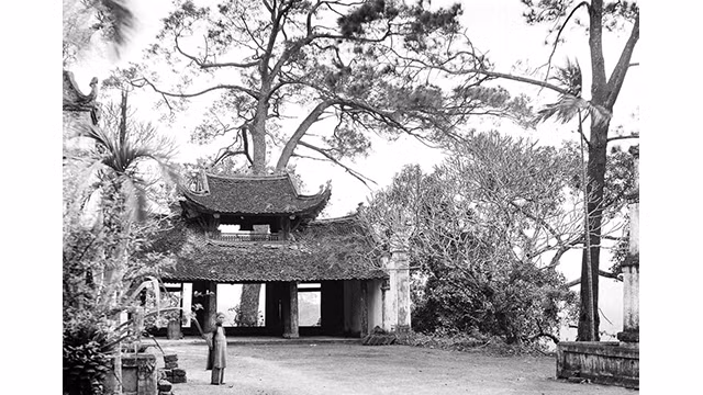 Vue intérieure de la zone des vestiges du Temple Hùng. Photo : petrotimes.vn Vue intérieure de la zone des vestiges du Temple Hùng. Photo : petrotimes.vn