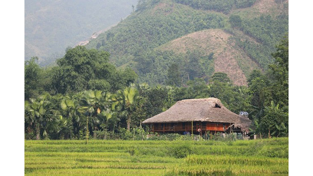 Une maison traditionnelle sur pilotis. Photo : baolaocai.vn