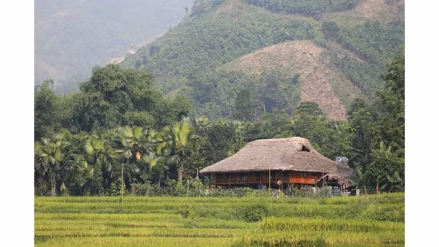Une maison traditionnelle sur pilotis. Photo : baolaocai.vn