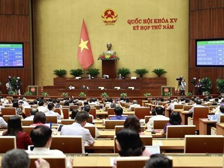 Lors de la séance de travail de l'AN vietnamienne. Photo : VNA.
