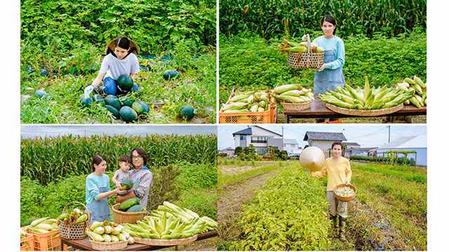 il s'agit des images simples, familières et amicales réalisées par Bùi Ngoc Thuy suscitant l’intérêt de nombreux gens. Photo : Vietnamnet.vn