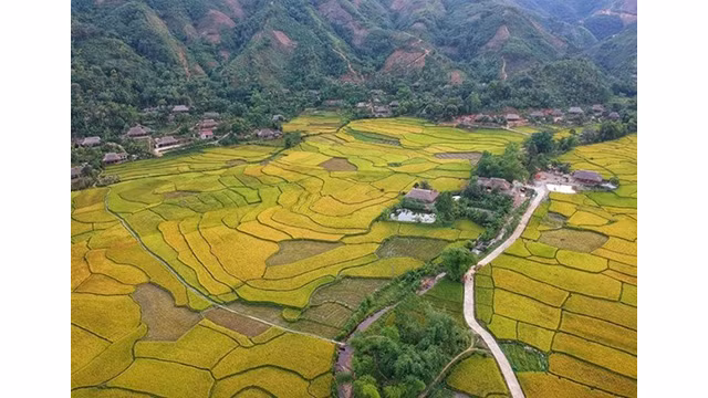 Des villages de l'ehtnie Tày dans la commune de Nghia Dô. Photo : baolaocai.vn