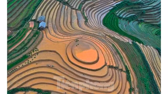 La beauté des rizières en terrasses de Mù Cang Chai pendant la saison des eaux ảnh 8
