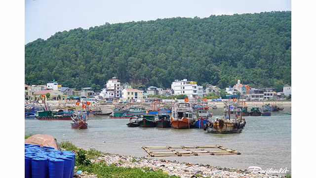 Chaque jour, la commune s’anime avec les bateaux de pêche qui reviennent avec toutes sortes de poissons et de crevettes. Photo : daidoanket.vn