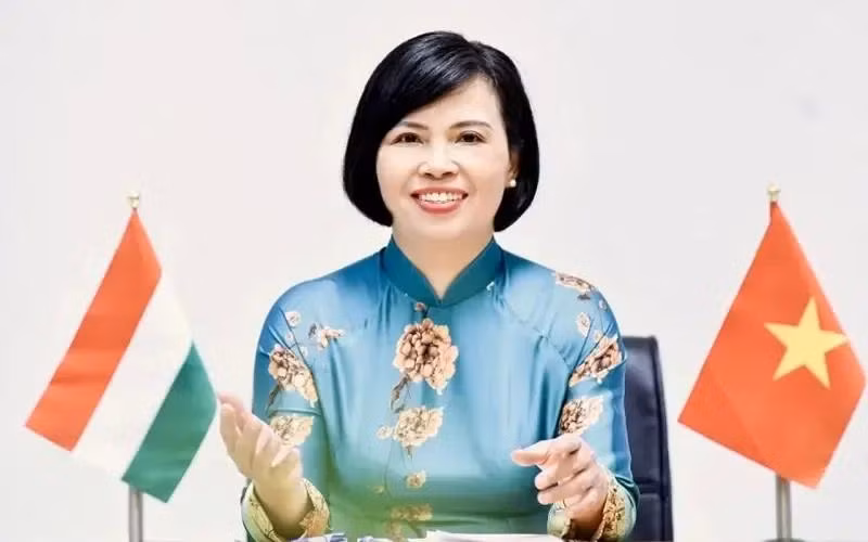 L'ambassadrice du Vietnam en Hongrie et en Croatie, Nguyên Thi Bich Thao. Photo : VNA.
