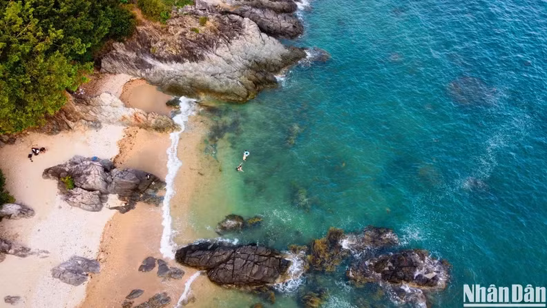 L'une des activités attrayantes consiste à camper et à pique-niquer sur les petites plages disséminées autour de la péninsule de Son Trà, notamment les plages Rang, Da Den, Ghênh Bàng, Tiên Sa et But. Photo : nhandan.vn