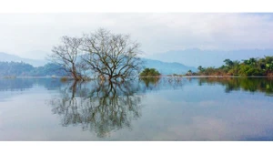 Le parc national de Vu Quang (dans la province de Hà Tinh). Photo : https://dantri.com.vn/