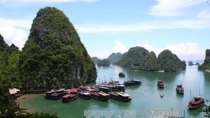  Baie de Ha Long - patrimoine naturel mondial de l’UNESCO. Photo : VNA.