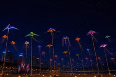 Près de 500 cerfs-volants lumineux illumineront le ciel nocturne de Nang Nang durant trois soirées consécutives, les 24, 25 et 26 juillet. Photo : Danangfantasticity. 
