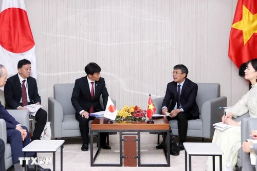 Le vice-ministre permanent des Affaires étrangères, Nguyen Minh Vu (à droite) et le vice-ministre parlementaire japonais des Affaires étrangères, Shimada Tomoaki. Photo : VNA.