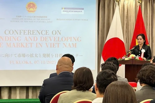 La Consule générale du Vietnam à Fukuoka, Vu Chi Mai s'exprime au séminaire. Photo : VNA.
