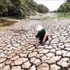 Efforts déployés pour faire face aux changements climatiques. Photo : VNA. 