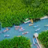 La verdoyante mangrove de cocotiers d'eau de Tinh Khe crée un espace fluvial paisible qui attire les visiteurs à l'exploration. Photo : Doan Vuong Quoc.