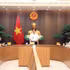 Le vice-Premier ministre vietnamien Ho Quoc Dung s'exprime lors de la réunion. Photo : VOV.