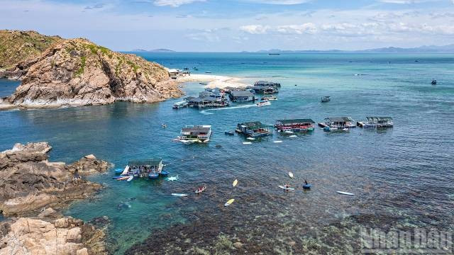 La zone autour de Hon Kho est également connue pour ses récifs coralliens multicolores. Photo : nhandan.vn 9-8.jpg