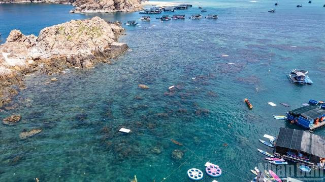 Vue d’en haut, la mer de Nhon Hai dévoile sa limpidité saisissante. Photo : nhandan.vn 8-12.jpg