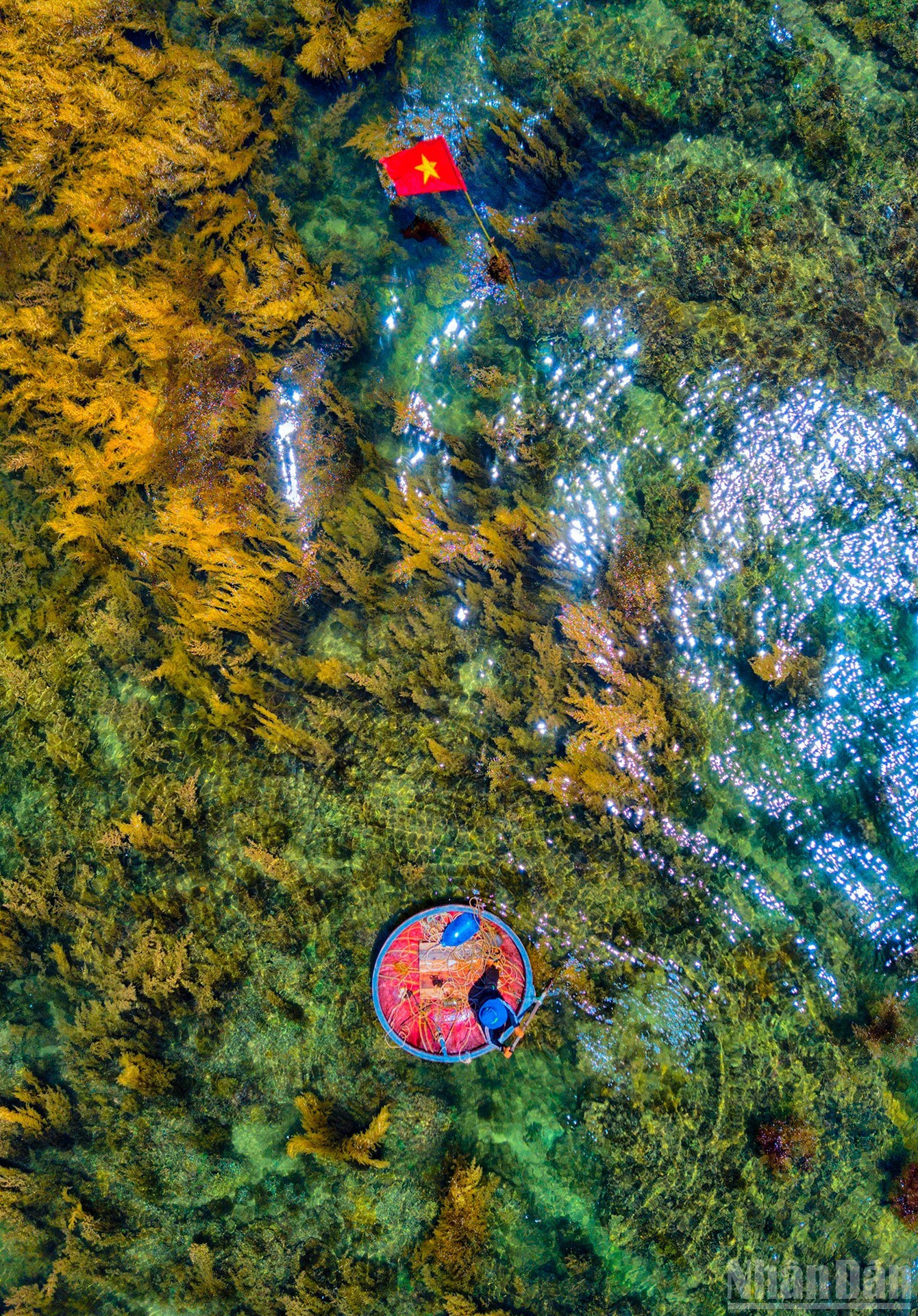 S-Vietnam. Photo : Doan Vuong Quoc. 5.jpg