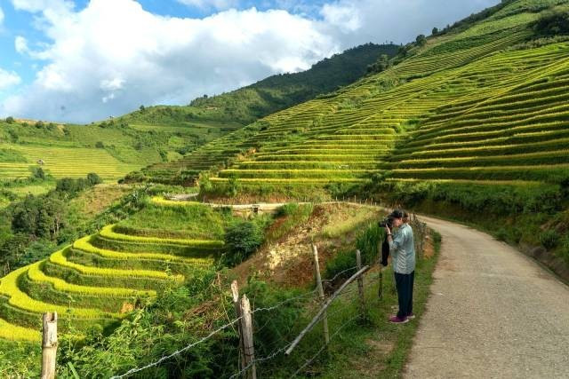 Barbara profite du paysage des rizières en terrasses sous le soleil du matin à Mu Cang Chai. Photo: Barbara Landsberg du-khach-uc-di-mu-cang-chai-2-7099-5629-1759742031.jpg