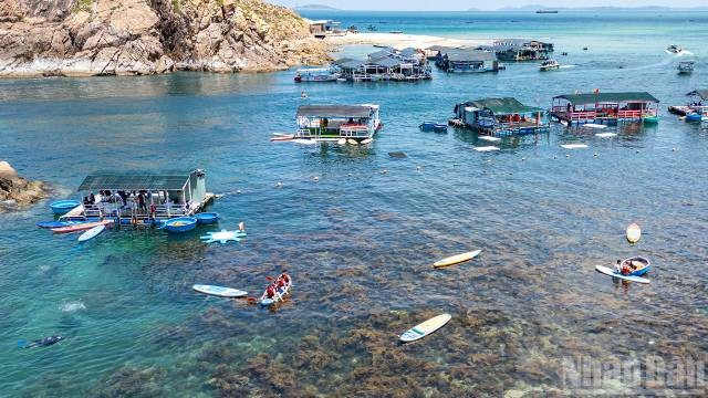 Les activités de plongée pour admirer les coraux et le stand-up paddle sont particulièrement prisées des visiteurs. Photo : nhandan.vn 6-14.jpg