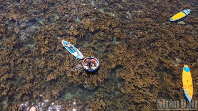 Un touriste se détend en pleine nature. Photo : nhandan.vn 7-15.jpg