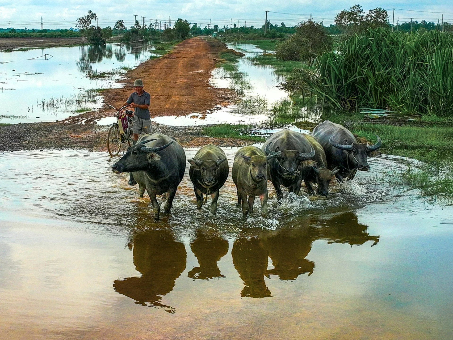 Photo : lifestyle.znews.vn lentrau-10.jpg