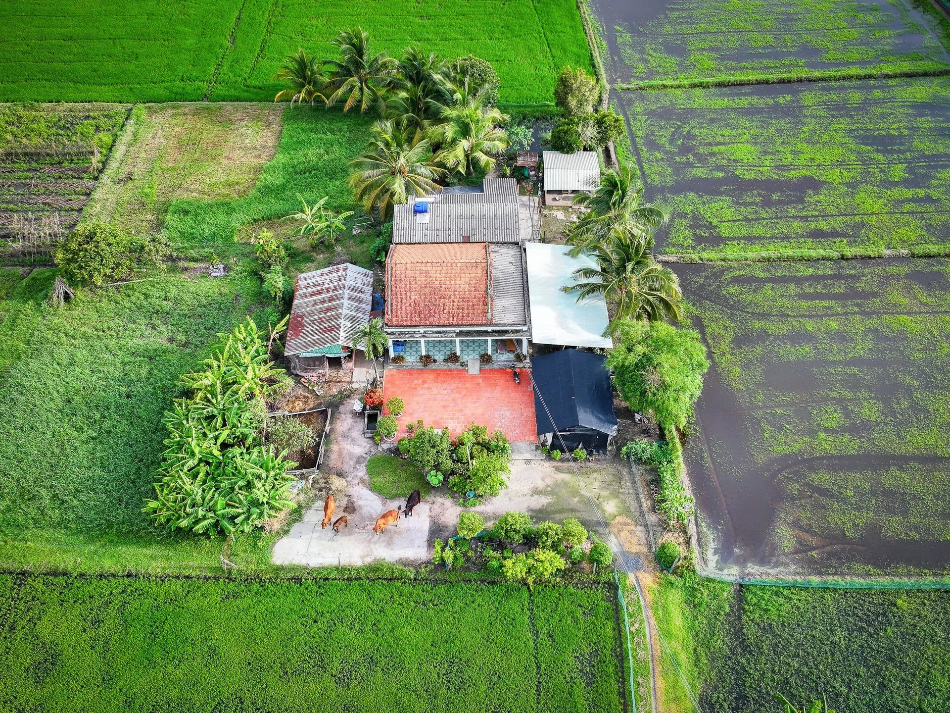 Photo : lifestyle.znews.vn lentrau-8.jpg
