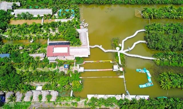 Le site écotouristique Cà Mau Eco se situe au cœur de l’écosystème de la forêt de mélaleucas, caractérisé par ses cours d’eau. Photo : vnexpress.net 1-2025-09-23t230029852.jpg