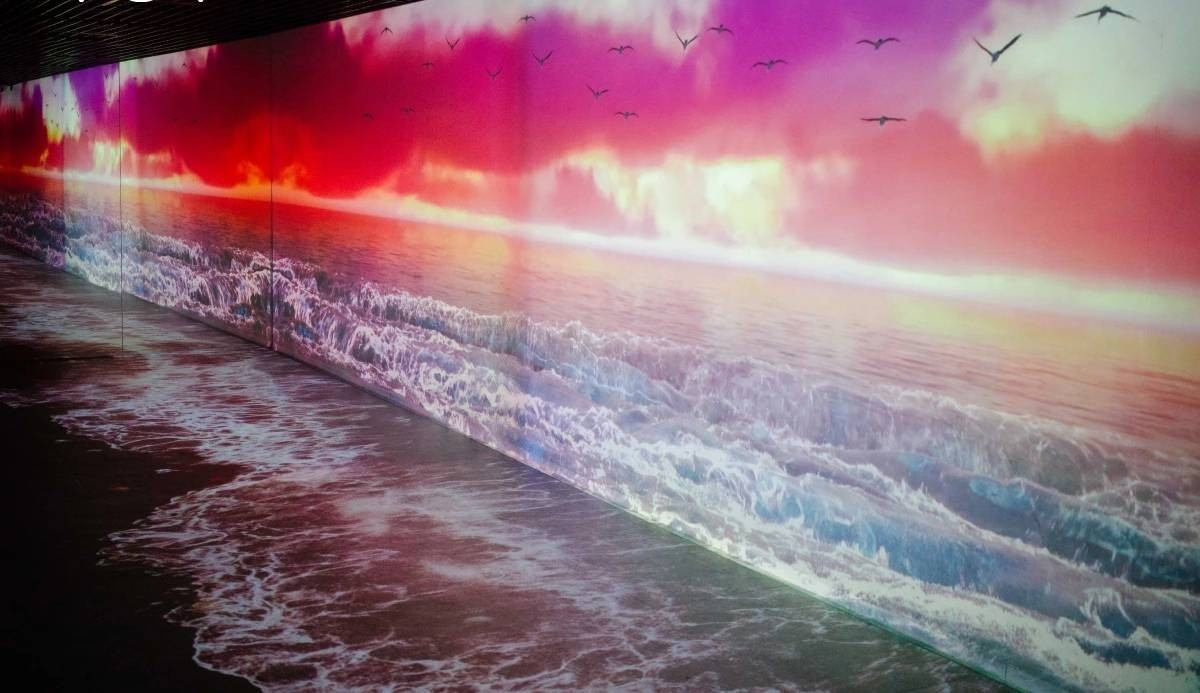  I-Museum est un musée d’art numérique utilisant des techniques de projection modernes. Photo : VOV.