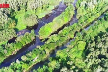 Préservation de la biodiversité de la réserve naturelle de Lung Ngoc Hoang