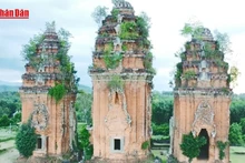 Découverte de deux sculptures en relief à la tour cham de Duong Long