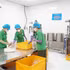 De nombreuses entreprises ont investi dans la science, la technologie et l'innovation afin de développer des modèles de production propres et sûrs. Photo : VNA. 