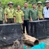 Le Centre de conservation des éléphants, de sauvetage des animaux et de protection forestière de la province de Dak Lak, en coordination avec plusieurs unités, transporte des animaux sauvages rares vers le Parc national de Chu Yang Sin afin de les réintroduire dans leur milieu naturel.
