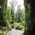 Binh Chau-Phuoc Buu, la beauté d’une forêt primaire littorale