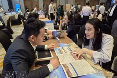 Plus de 7 000 rencontres d’affaires B2B et la signature de protocoles d’accord ont été enregistrés lors de l’espace Business et de mise en relation B2B, dans le cadre du Festival international du tourisme de Da Nang 2026. Photo : VNA.