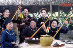 Le charme du dan tinh réside dans l’harmonie entre les sonorités de l’instrument, la mélodie des chants et la souplesse des rythmes de l’interprétation. Photo : Baovanhoa.