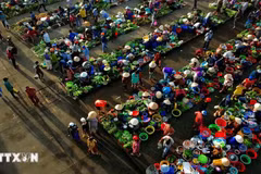 Le marché « chom hom » de Vi Thanh, avec ses étals colorés de produits frais et ses vendeurs en pleine activité, offre une scène animée et authentique de la vie quotidienne dans le delta du Mékong. Photo : VNA.