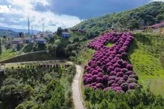 Les couleurs des hautes terres sur le mythique col de Pha Din