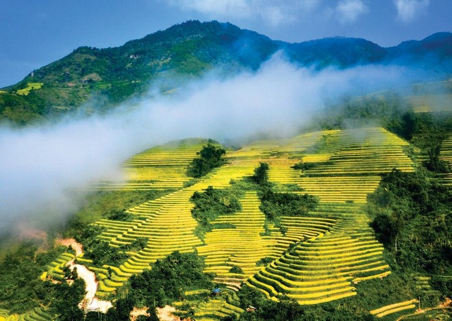 Les spectaculaires rizières en terrasses à Sapa fascinent les touristes. Photo : VNA. rizierre-sapa.jpg