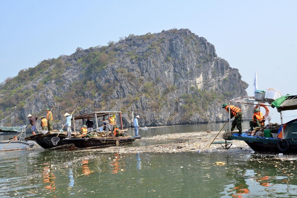 Nettoyage de la baie de Ha Long après le typhon Yagi. Photo : VNA. quang-ninh-vna.jpg